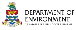 DoE announces special recruitment, training for Green Iguana cullers