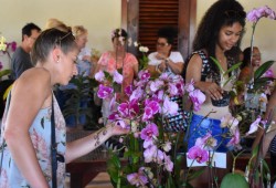 More than 1300 Orchid Enthusiasts flock to Queen Elizabeth II Botanic Park