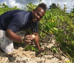 Turtle nesting season off to early start