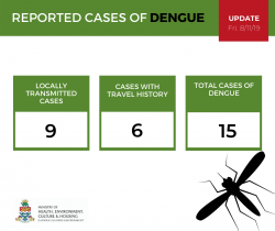 Dengue Update as of 8 November 2019