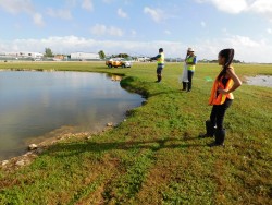 Airport Relocates Pond Wildlife