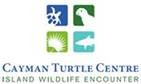 Annual survey of breeding turtles at the Cayman Turtle Centre