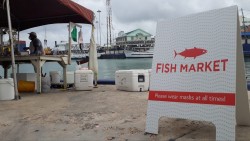 Fish Market Opens at South Terminal