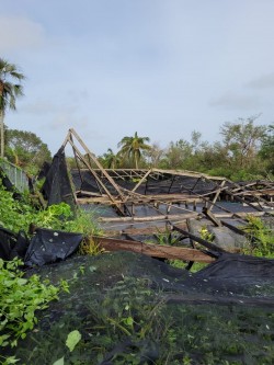 TAB calls for volunteers to help with post storm cleanup