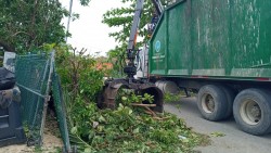 DEH Establishes Temporary Debris Management Sites