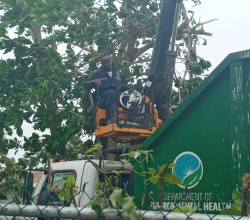 DEH Announces Island Wide Vegetation Collection Schedule