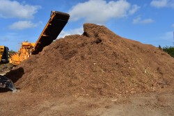 Free mulch now available at West Bay as temporary drop-off site closes