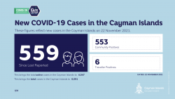 COVID-19 Update Monday 22 November 2021 8am