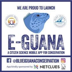 Blue Iguana Conservation Launches New Citizen Science Mobile Application