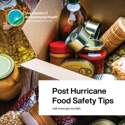 DEH Post Hurricane Safety Tips