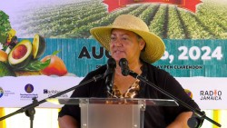 Premier Attends Agriculture Show in Jamaica