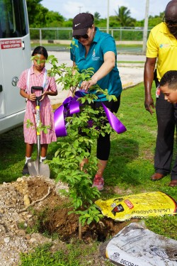 Ministry and Deloitte partner for school tree planting