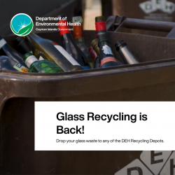 DEH Glass Recycling Programme in back