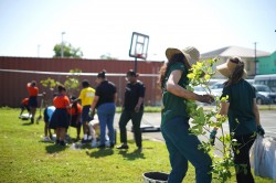 The National Tree Planting Programme blossoms with 710 native trees